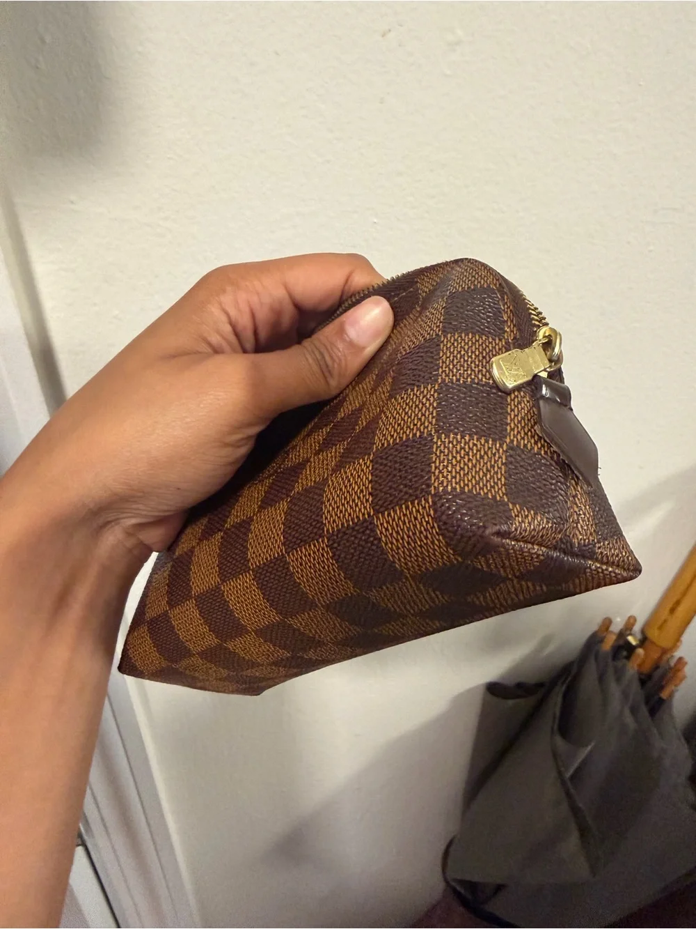Louis Vuitton Cosmetic Pouch
